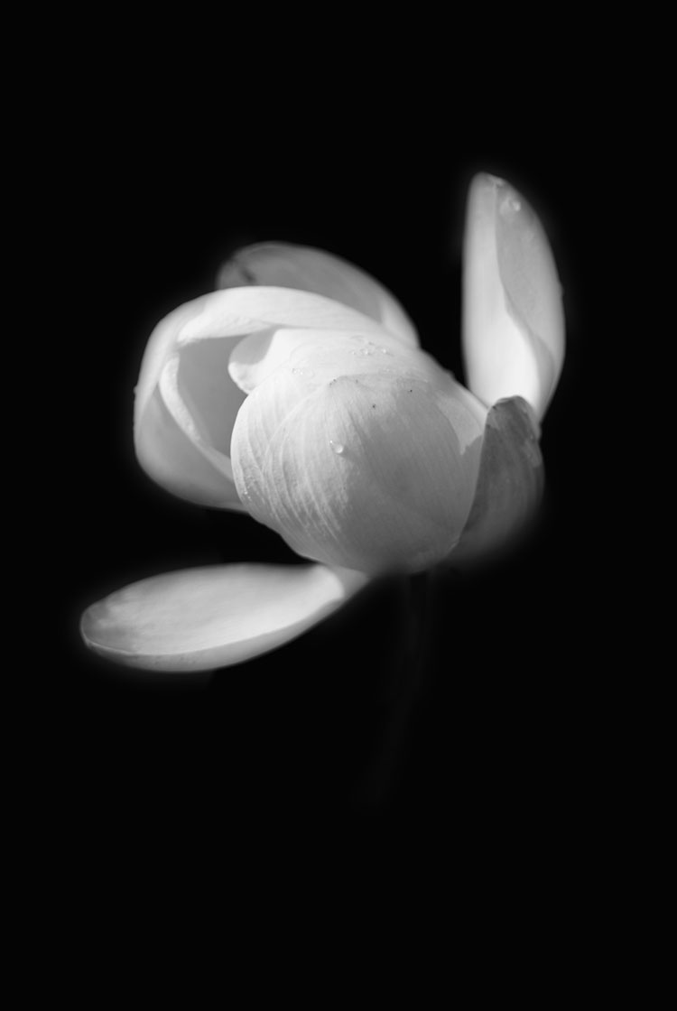 <br />
<b>Warning</b>:  Undefined variable $attachimentID in <b>/home/studiohas/studio-has.work/public_html/cuture.studio-has.work/wp-content/themes/HAS_Couture_2025_0604/template/archive/archive-case.php</b> on line <b>93</b><br />
