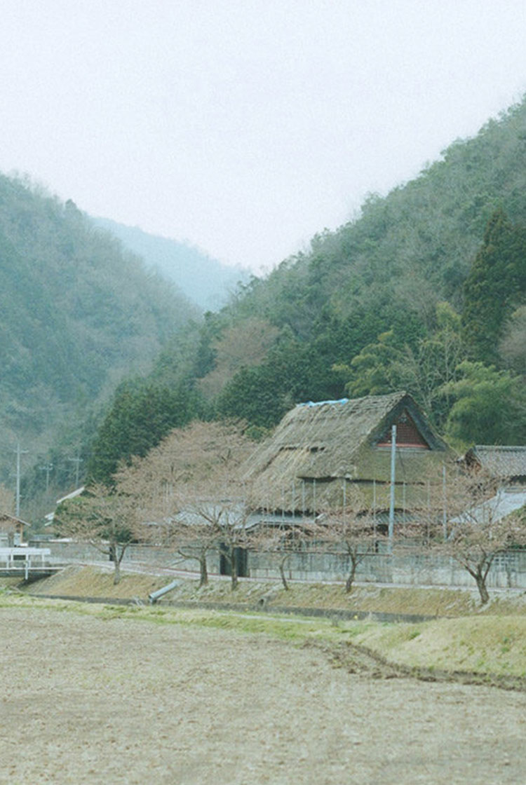 <br />
<b>Warning</b>:  Undefined variable $attachimentID in <b>/home/studiohas/studio-has.work/public_html/cuture.studio-has.work/wp-content/themes/HAS_Couture_2025_0604/template/archive/archive-case.php</b> on line <b>93</b><br />
