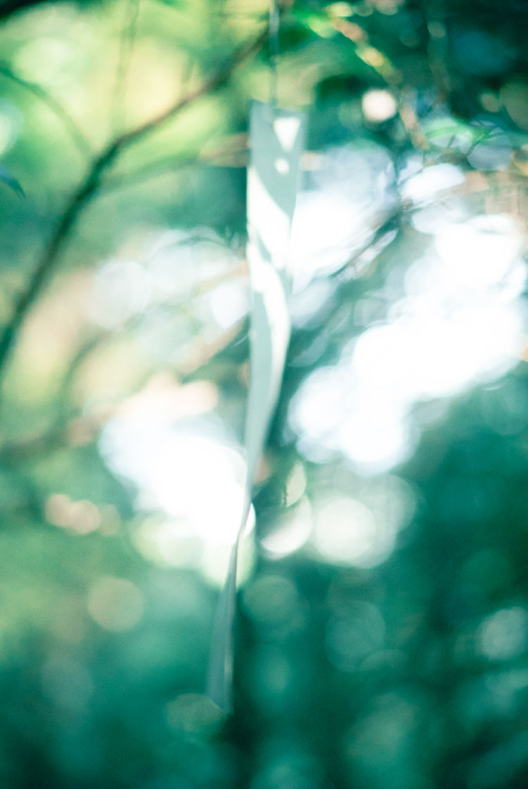 <br />
<b>Warning</b>:  Undefined variable $attachimentID in <b>/home/studiohas/studio-has.work/public_html/cuture.studio-has.work/wp-content/themes/HAS_Couture_2025_0604/template/page/page-works.php</b> on line <b>100</b><br />
